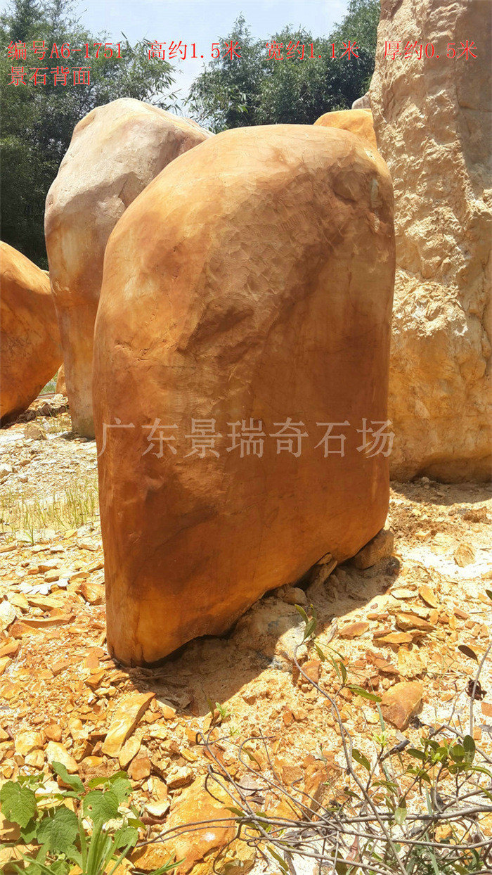 20170613_121803.jpg