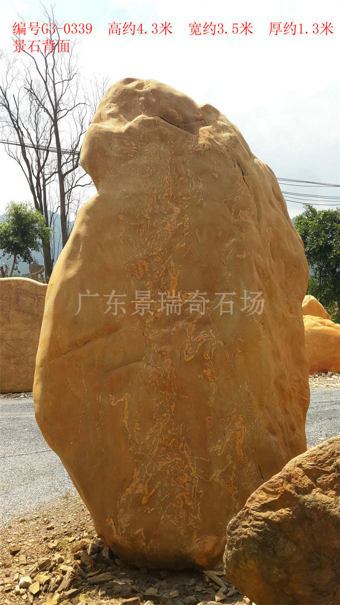 20170629_110419.jpg