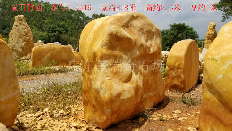 20170804_114455.jpg
