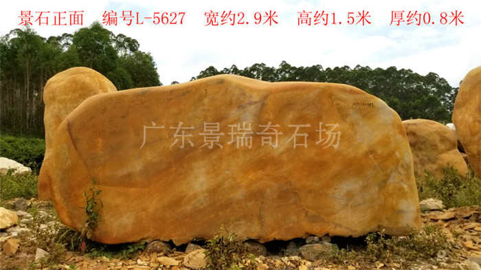 20170804_115627.jpg