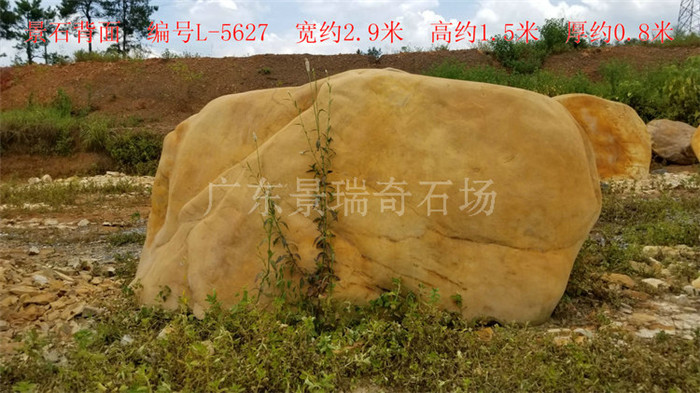20170804_115717.jpg