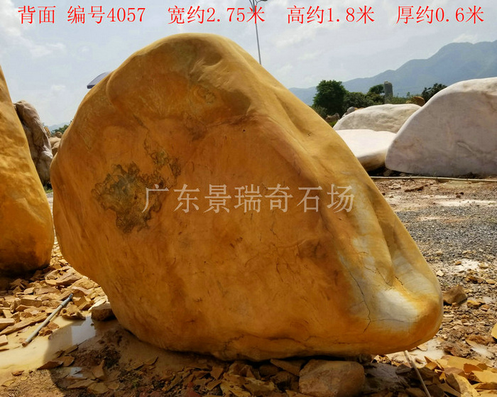 20180717_104107.jpg