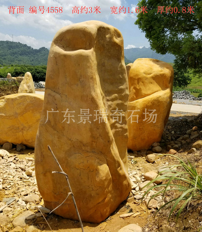 20180723_114614.jpg