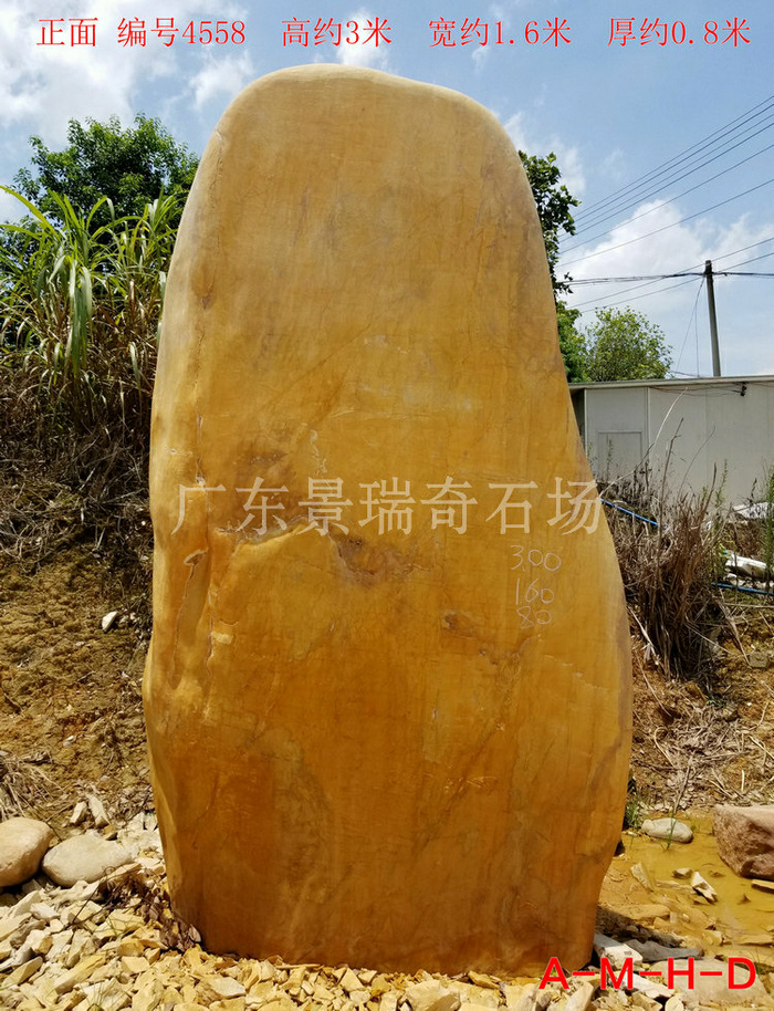 20180723_114558.jpg