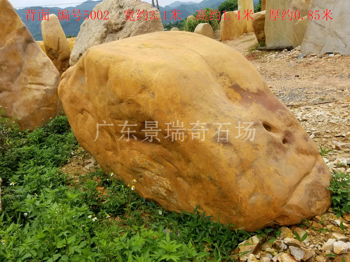 20180723_145013.jpg