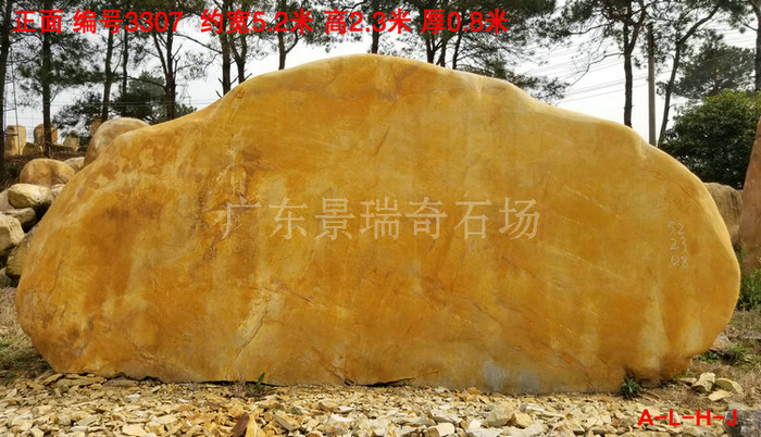 20190128_133307.jpg